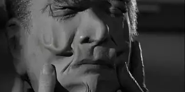 The Hundred Days of the Dragon