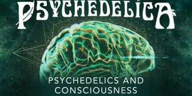 Psychedelics and Consciousness