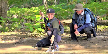 Fly-Fishing in Secluded Forest Stream