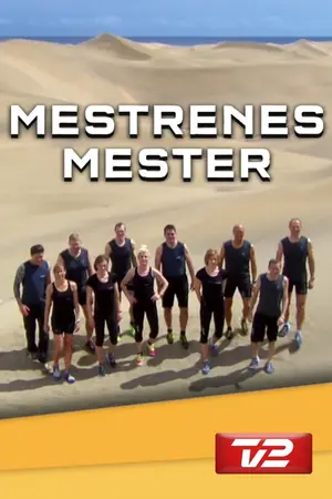 Mestrenes Mester