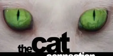 The Cat Connection