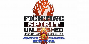 Fighting Spirit Unleashed New York