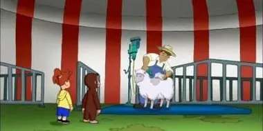 Curious George, Sheep Herder