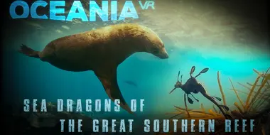 Sea Dragons Of The Great Southern Reef