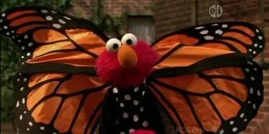 Elmo and the Butterfly