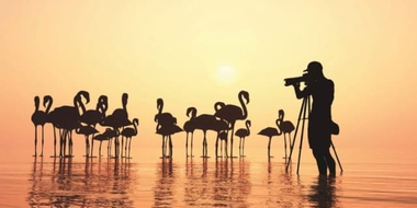 Photography for Birders