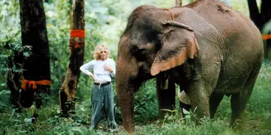 The White Elephants of Thailand with Meg Ryan