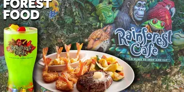 What REALLY Happened To The Rainforest Cafe?