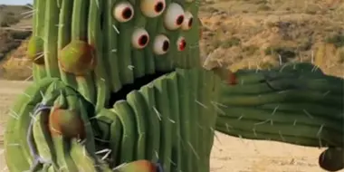 Night Of The Cactus!