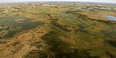 Okavango: Water in the Desert