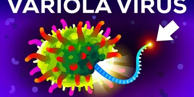 The (Second) Most Deadliest Virus on Earth