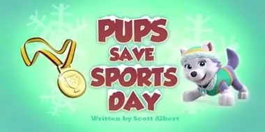 Pups Save Sports Day