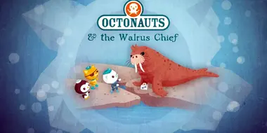 The Walrus Chief