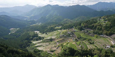 Kumano Kodo: Fast Hiking to Nirvana