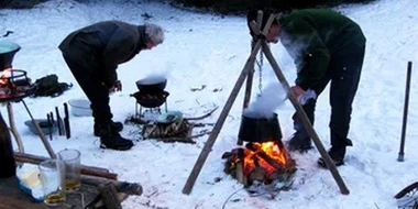 Et vildsvin på Djursland