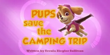 Pups Save the Camping Trip