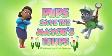 Pups Save the Mayor's Tulips