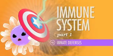 Immune System, Part 1