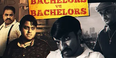 Bachelors Vs Bachelors