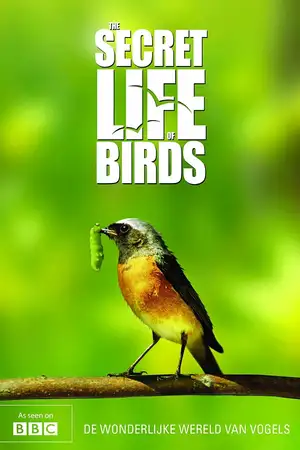 Iolo's Secret Life of Birds