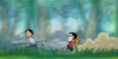 Luffy and Ace! The Story of How the Brothers Met!