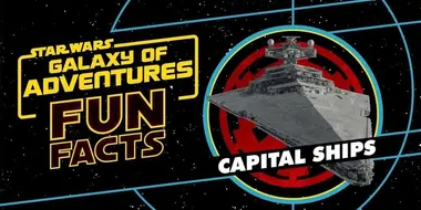 Fun Facts: Capital Ships