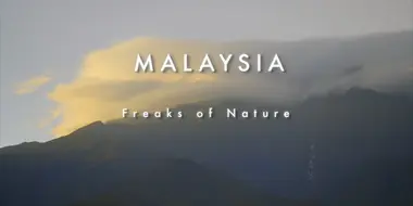 Malaysia - Freaks of Nature