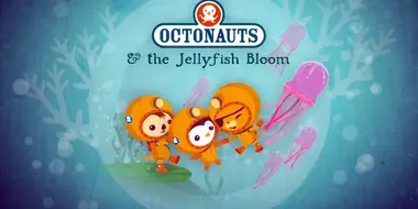 The Jellyfish Bloom