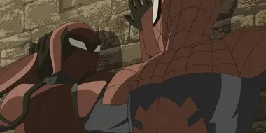 The Spider-Verse (1)
