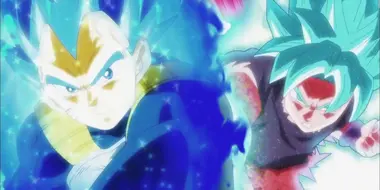 Body, Soul and Power Unleashed! Goku and Vegeta!