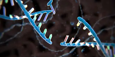 Le nuove frontiere del DNA