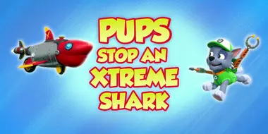 Pups Stop an Xtreme Shark