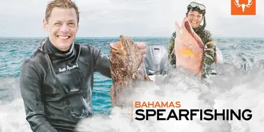 Bahamas Spearfishing