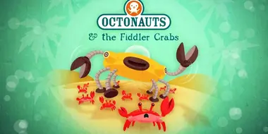 The Fiddler Crabs