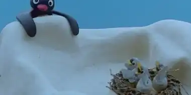 Pingu and the Birds' Mother