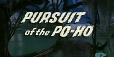 Pursuit of the Po-Ho