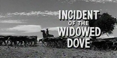 Incident of the Widowed Dove