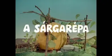 A sárgarépa