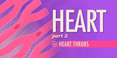The Heart, Part 2 - Heart Throbs
