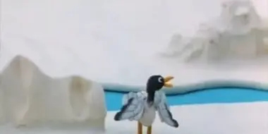 Pingu and the Seagull