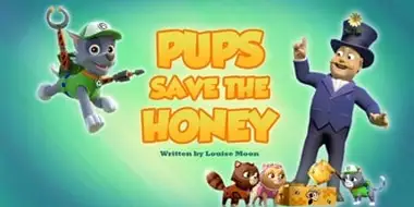 Pups Save the Honey
