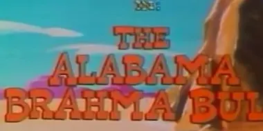 The Alabama Brahma Bull