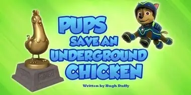 Pups Save an Underground Chicken