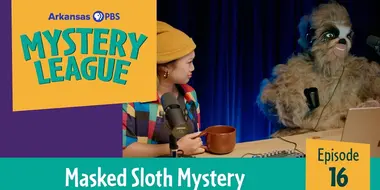 Masked Sloth Mystery