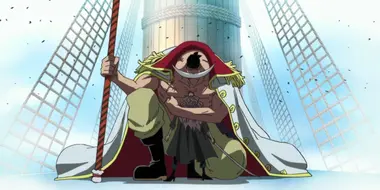 Akainu's Plot! Whitebeard Entrapped!