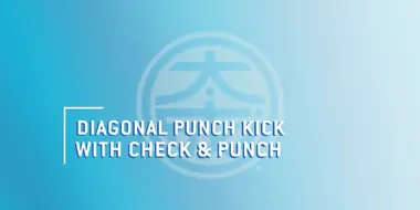 The Master Scroll 19 - Diagonal Punch Kick with Check and Punch