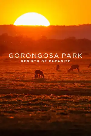 Gorongosa Park: Rebirth of Paradise