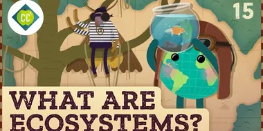 What Are Ecosystems?