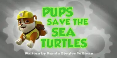 Pups Save the Sea Turtles
