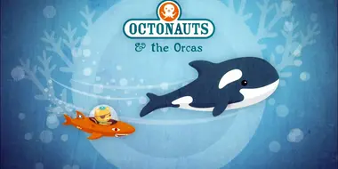 The Orcas